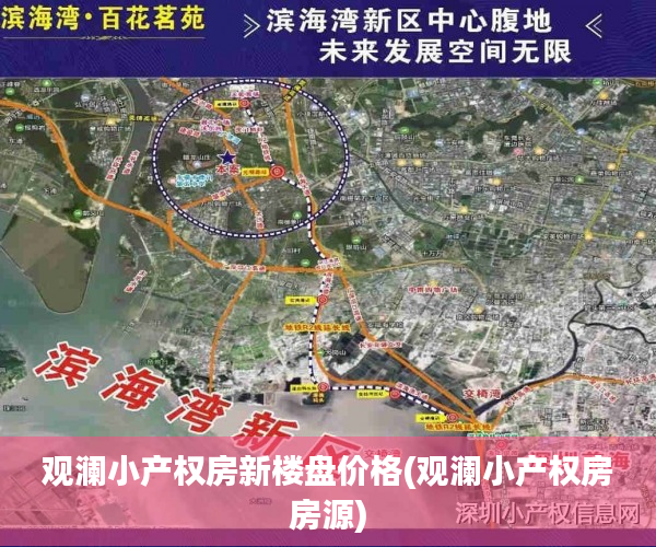 观澜小产权房新楼盘价格(观澜小产权房房源)