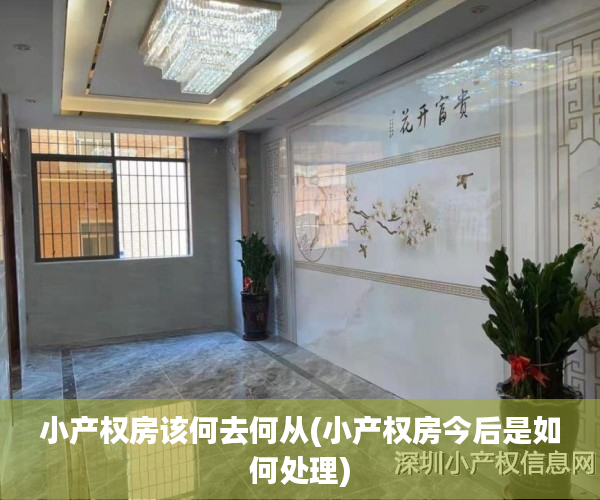小产权房该何去何从(小产权房今后是如何处理) 小产权房该何去何从(小产权房今后是如何处理)