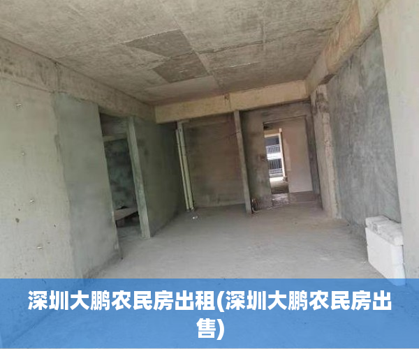 深圳大鹏农民房出租(深圳大鹏农民房出售)