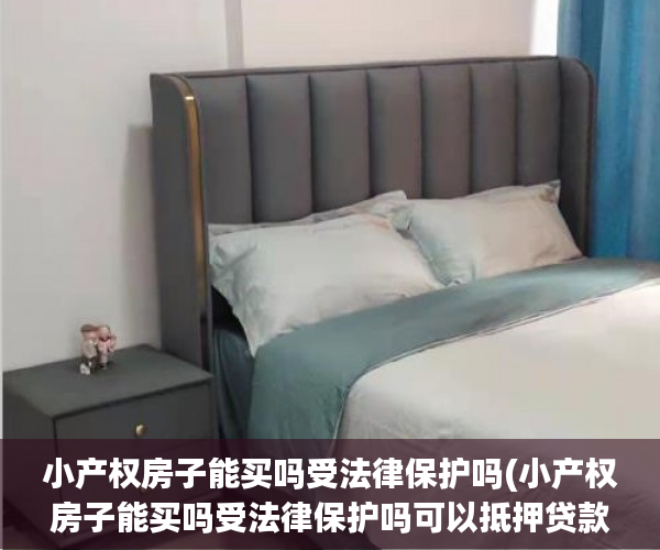 小产权房子能买吗受法律保护吗(小产权房子能买吗受法律保护吗可以抵押贷款吗) 小产权房子能买吗受法律保护吗(小产权房子能买吗受法律保护吗可以抵押贷款吗)