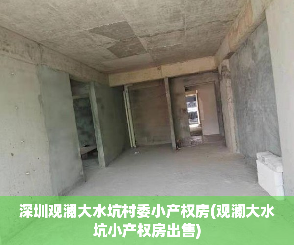 深圳观澜大水坑村委小产权房(观澜大水坑小产权房出售)