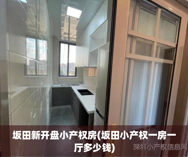 坂田新开盘小产权房(坂田小产权一房一厅多少钱) 坂田新开盘小产权房(坂田小产权一房一厅多少钱)