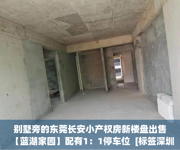 别墅旁的东莞长安小产权房新楼盘出售【蓝湖家园】配有1：1停车位  [标签深圳市龙华公寓 小产权:标题seo加词]