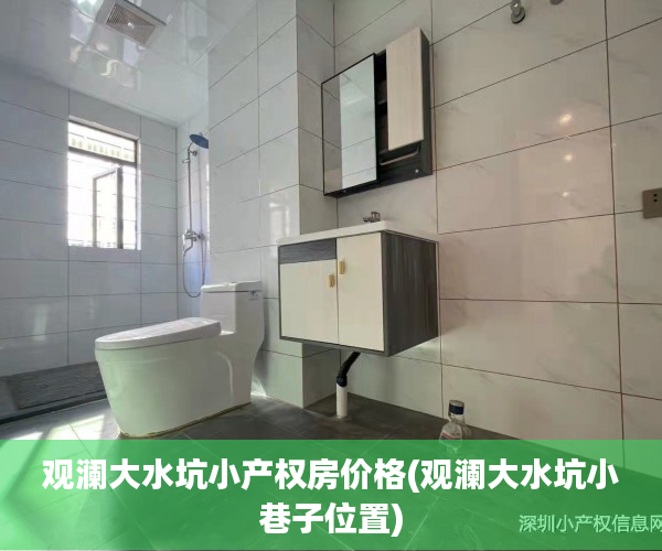 观澜大水坑小产权房价格(观澜大水坑小巷子位置)