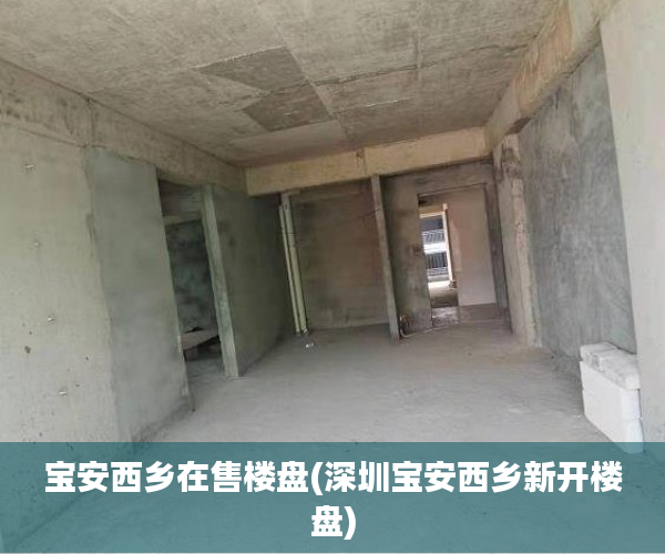 宝安西乡在售楼盘(深圳宝安西乡新开楼盘)