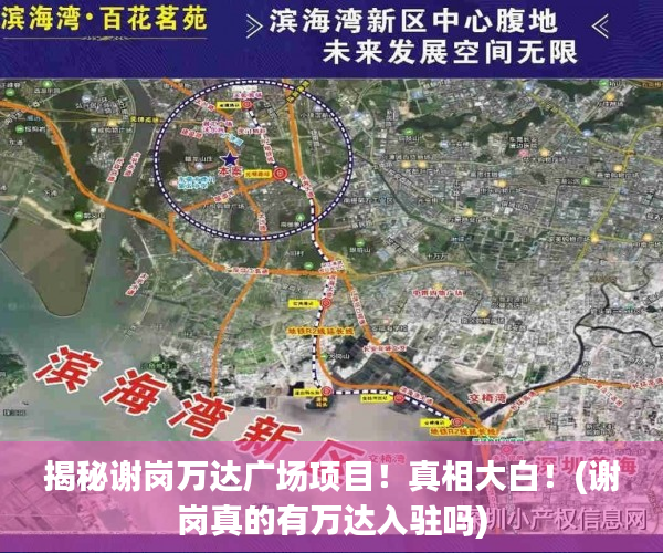 揭秘谢岗万达广场项目！真相大白！(谢岗真的有万达入驻吗)