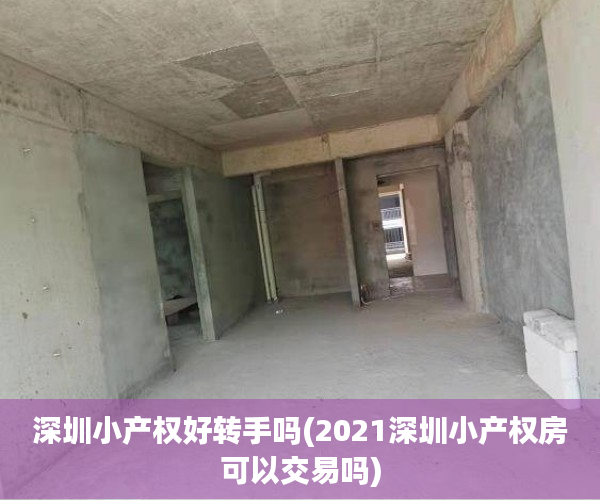 深圳小产权好转手吗(2021深圳小产权房可以交易吗)