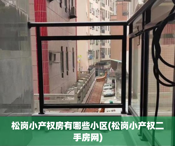 松岗小产权房有哪些小区(松岗小产权二手房网)
