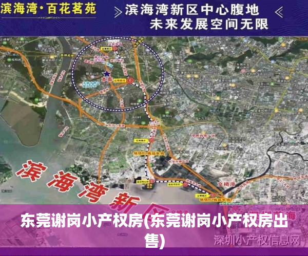 东莞谢岗小产权房(东莞谢岗小产权房出售) 东莞谢岗小产权房(东莞谢岗小产权房出售)
