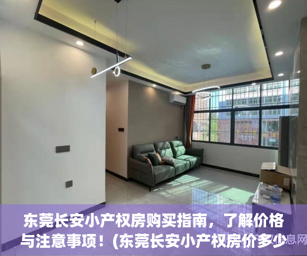 东莞长安小产权房购买指南，了解价格与注意事项！(东莞长安小产权房价多少钱一平米)
