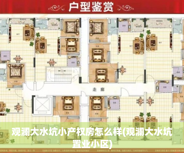观澜大水坑小产权房怎么样(观澜大水坑置业小区)