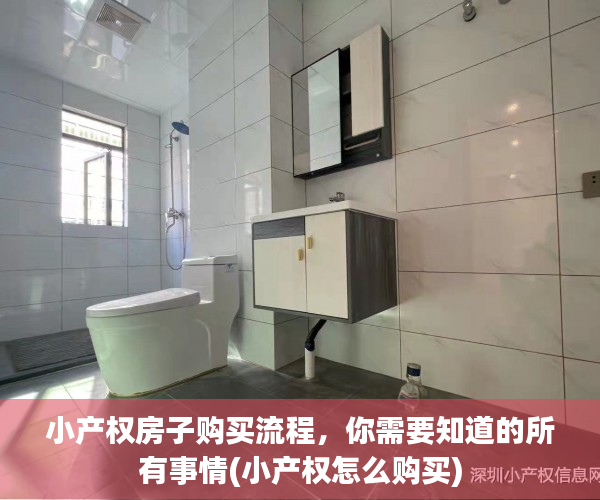 小产权房子购买流程，你需要知道的所有事情(小产权怎么购买)