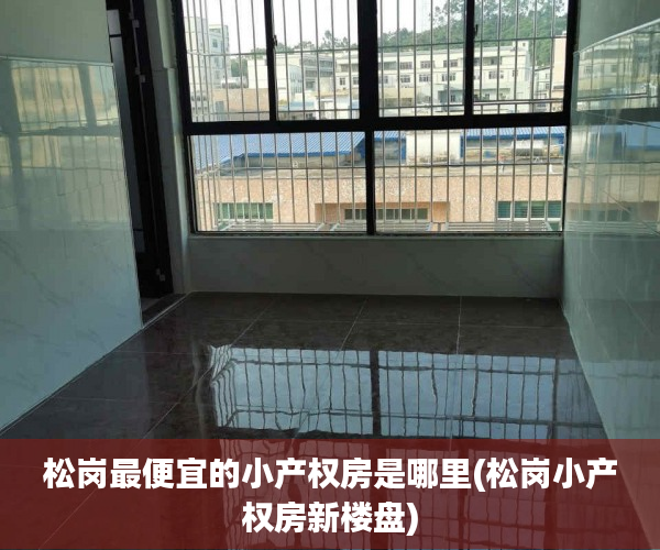 松岗最便宜的小产权房是哪里(松岗小产权房新楼盘)