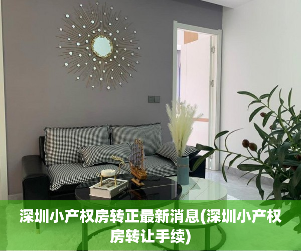深圳小产权房转正最新消息(深圳小产权房转让手续) 深圳小产权房转正最新消息(深圳小产权房转让手续)