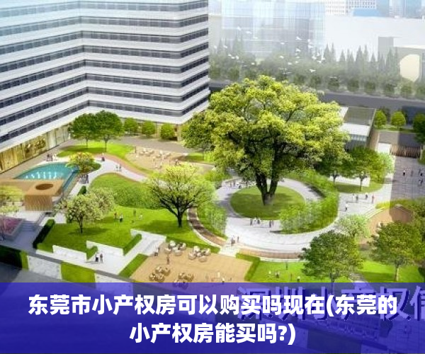 东莞市小产权房可以购买吗现在(东莞的小产权房能买吗?)
