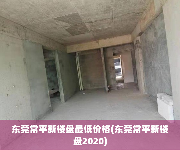 东莞常平新楼盘最低价格(东莞常平新楼盘2020)