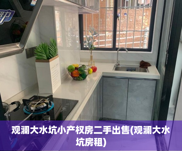 观澜大水坑小产权房二手出售(观澜大水坑房租)