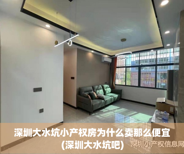 深圳大水坑小产权房为什么卖那么便宜(深圳大水坑吧)