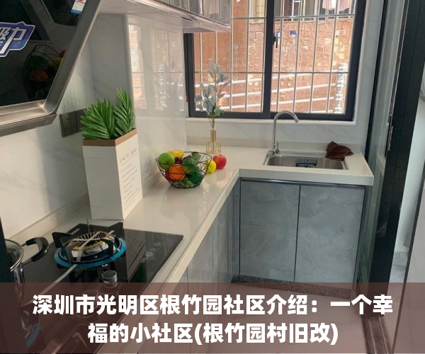深圳市光明区根竹园社区介绍：一个幸福的小社区(根竹园村旧改)