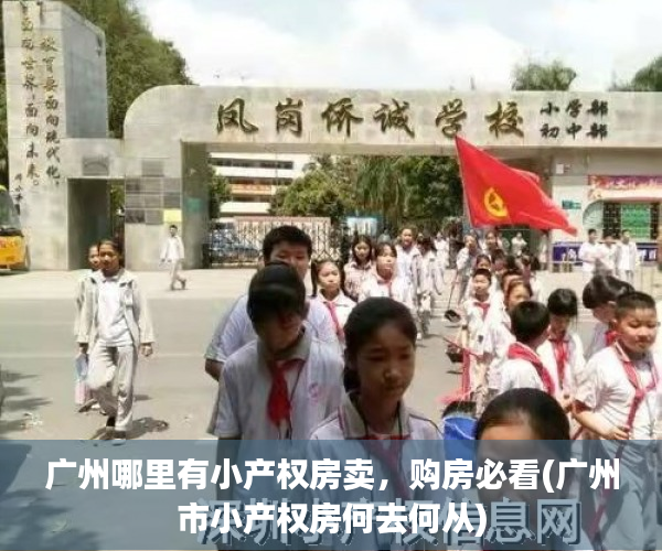 广州哪里有小产权房卖，购房必看(广州市小产权房何去何从)