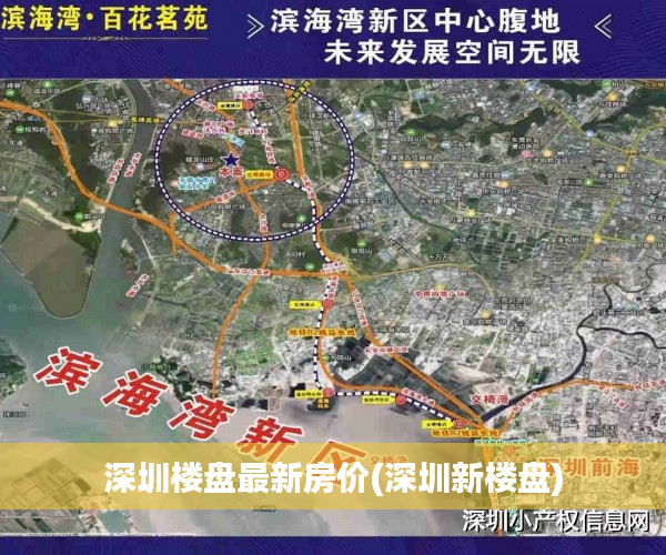 深圳楼盘最新房价(深圳新楼盘)