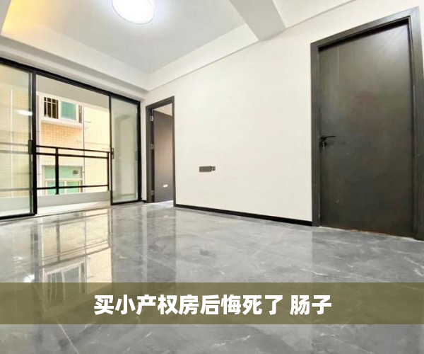 买小产权房后悔死了 肠子 买小产权房后悔死了 肠子