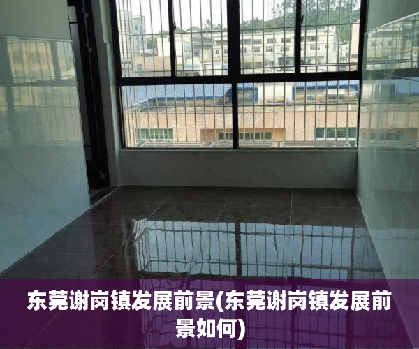 东莞谢岗镇发展前景(东莞谢岗镇发展前景如何) 东莞谢岗镇发展前景(东莞谢岗镇发展前景如何)