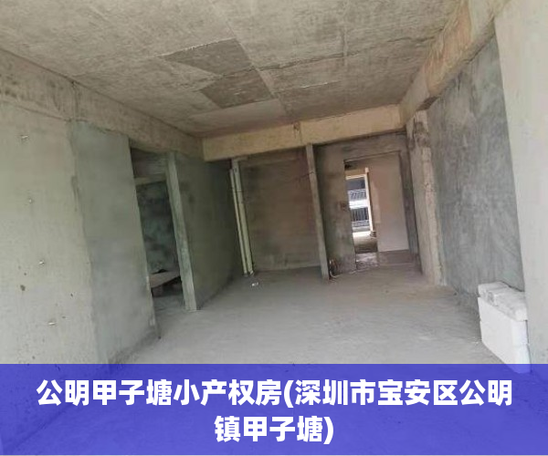 公明甲子塘小产权房(深圳市宝安区公明镇甲子塘)
