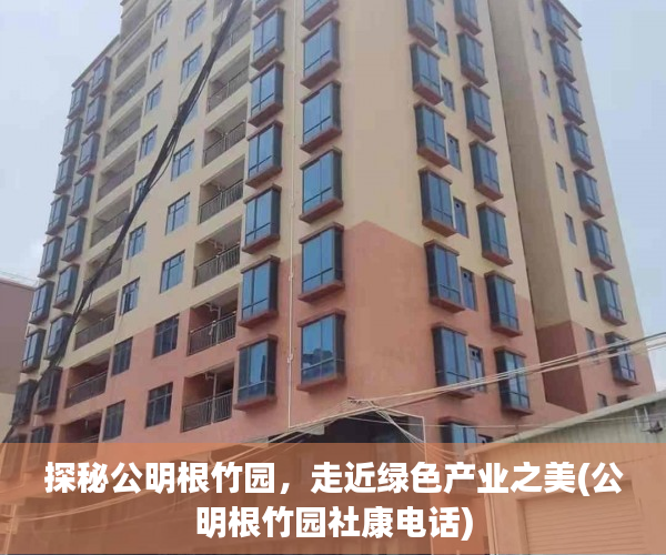 探秘公明根竹园，走近绿色产业之美(公明根竹园社康电话)