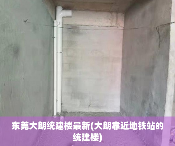 东莞大朗统建楼最新(大朗靠近地铁站的统建楼) 东莞大朗统建楼最新(大朗靠近地铁站的统建楼)