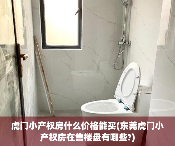 虎门小产权房什么价格能买(东莞虎门小产权房在售楼盘有哪些?)