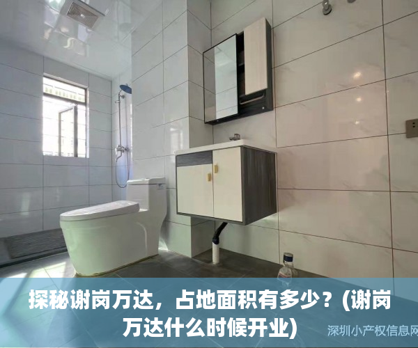 探秘谢岗万达，占地面积有多少？(谢岗万达什么时候开业)