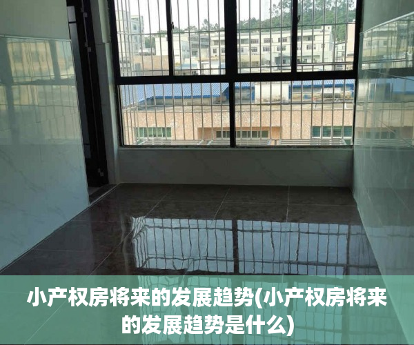 小产权房将来的发展趋势(小产权房将来的发展趋势是什么)