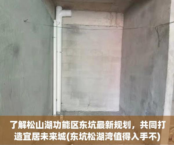 了解松山湖功能区东坑最新规划，共同打造宜居未来城(东坑松湖湾值得入手不)