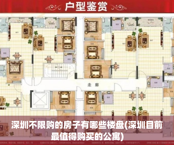 深圳不限购的房子有哪些楼盘(深圳目前最值得购买的公寓) 深圳不限购的房子有哪些楼盘(深圳目前最值得购买的公寓)
