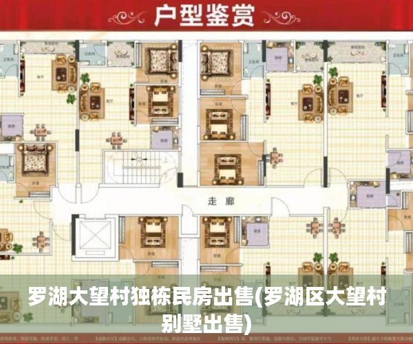 罗湖大望村独栋民房出售(罗湖区大望村别墅出售) 罗湖大望村独栋民房出售(罗湖区大望村别墅出售)
