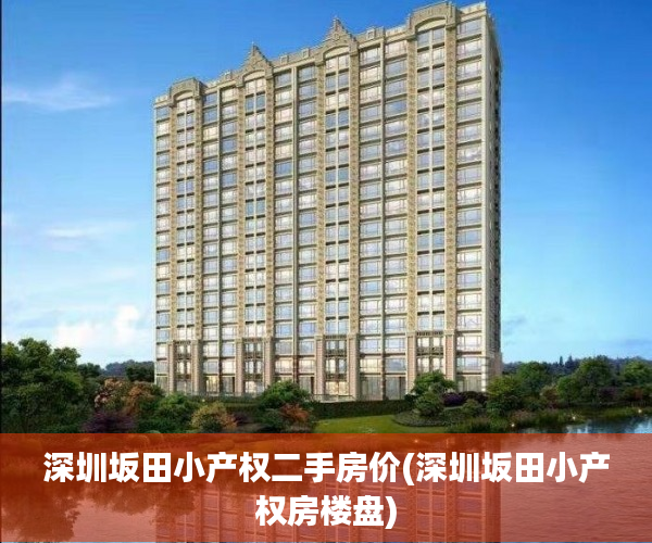 深圳坂田小产权二手房价(深圳坂田小产权房楼盘) 深圳坂田小产权二手房价(深圳坂田小产权房楼盘)