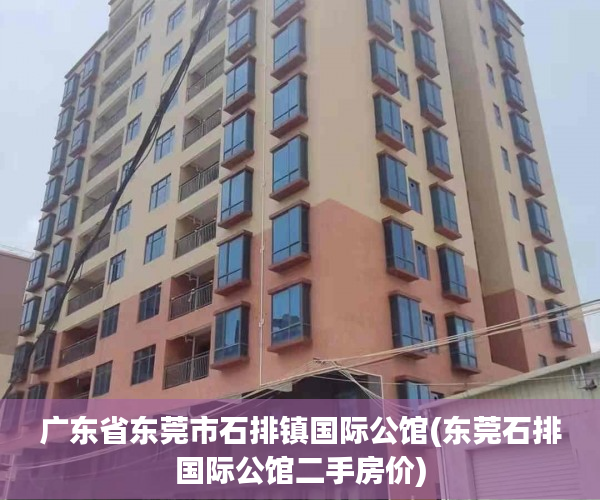 广东省东莞市石排镇国际公馆(东莞石排国际公馆二手房价)