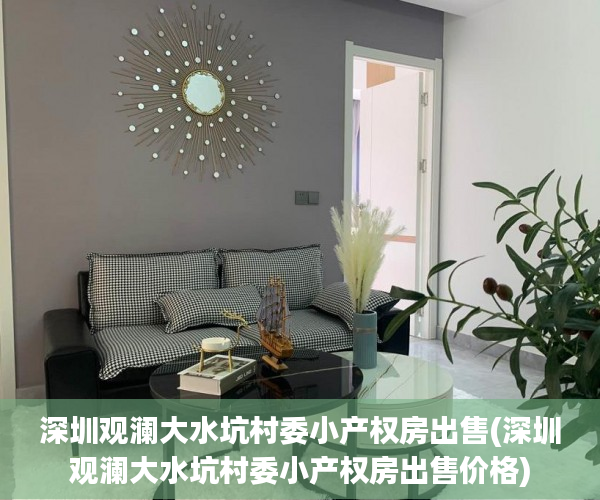 深圳观澜大水坑村委小产权房出售(深圳观澜大水坑村委小产权房出售价格)