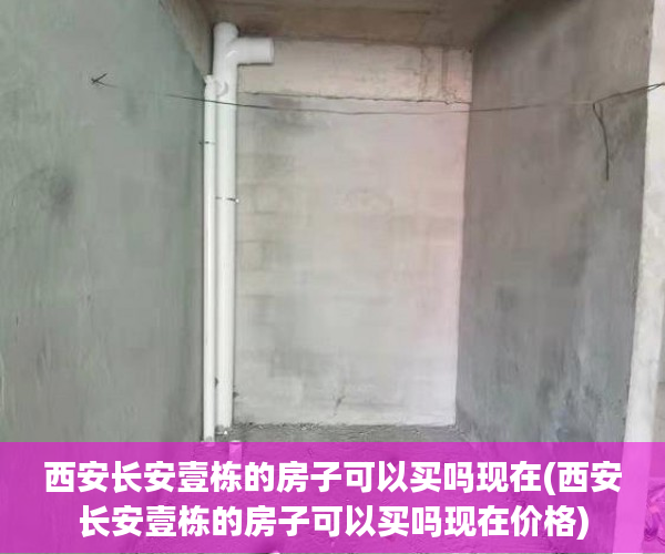西安长安壹栋的房子可以买吗现在(西安长安壹栋的房子可以买吗现在价格) 西安长安壹栋的房子可以买吗现在(西安长安壹栋的房子可以买吗现在价格)