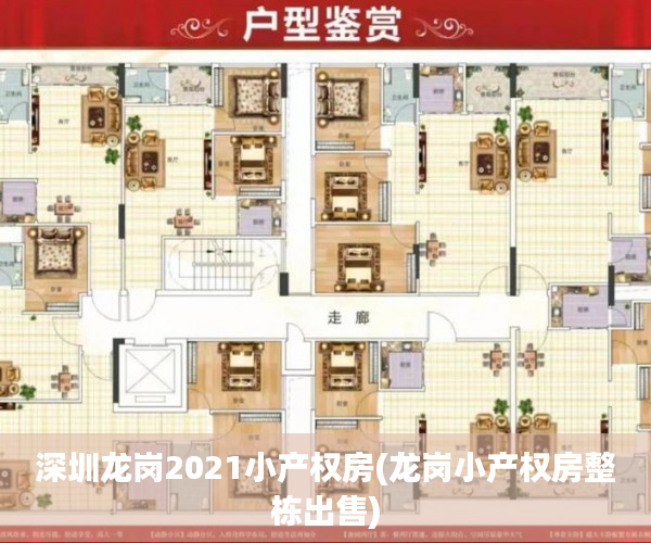 深圳龙岗2021小产权房(龙岗小产权房整栋出售)