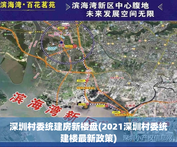 深圳村委统建房新楼盘(2021深圳村委统建楼最新政策)