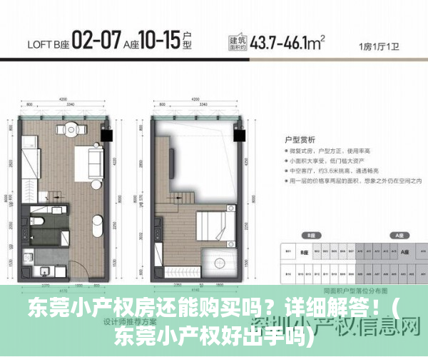 东莞小产权房还能购买吗？详细解答！(东莞小产权好出手吗)
