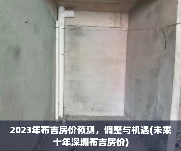 2023年布吉房价预测，调整与机遇(未来十年深圳布吉房价)