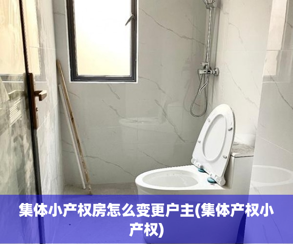 集体小产权房怎么变更户主(集体产权小产权)
