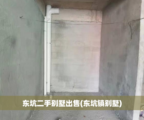 东坑二手别墅出售(东坑镇别墅) 东坑二手别墅出售(东坑镇别墅)