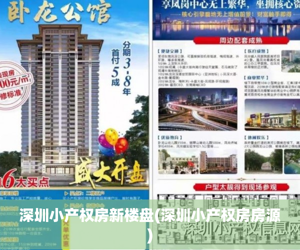 深圳小产权房新楼盘(深圳小产权房房源)