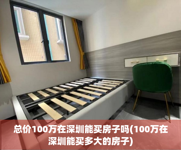总价100万在深圳能买房子吗(100万在深圳能买多大的房子)