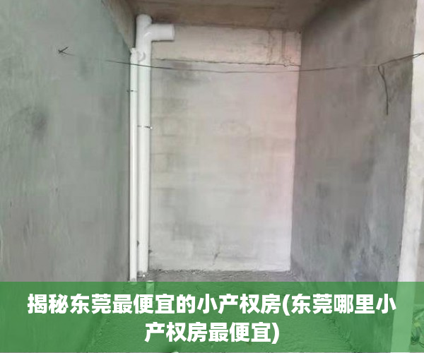 揭秘东莞最便宜的小产权房(东莞哪里小产权房最便宜)
