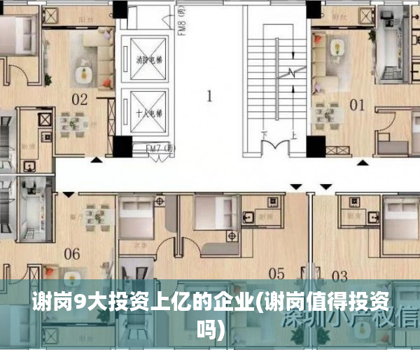 谢岗9大投资上亿的企业(谢岗值得投资吗) 谢岗9大投资上亿的企业(谢岗值得投资吗)